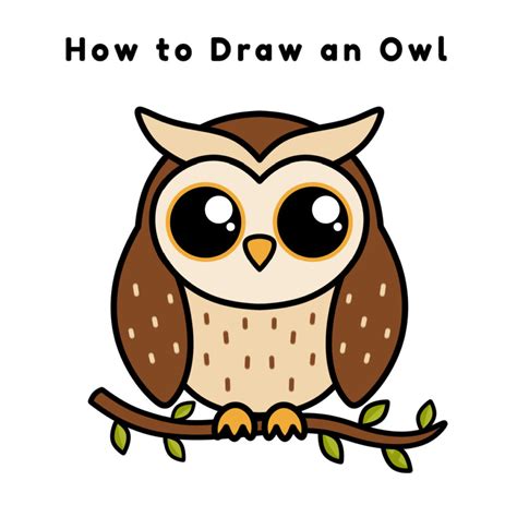DRAW .